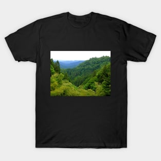 Japan Mountain Forest Ryokan View T-Shirt